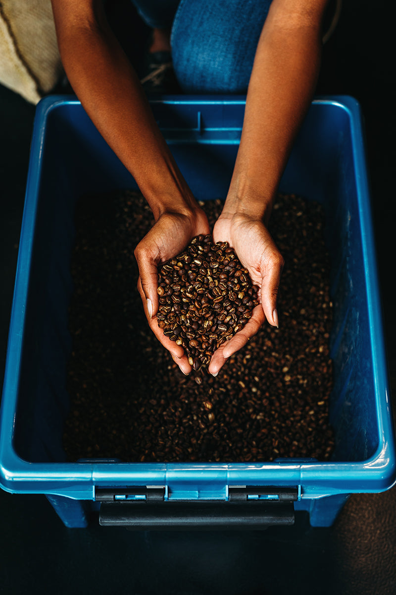 Become a valued member of our vibrant coffee-loving community and immerse yourself in the world of premium Jamaican Blue Mountain coffee. Follow us on social media to stay updated with the latest news, expert brewing tips, behind-the-scenes stories from our estate partners, and exclusive promotions on our rare and authentic coffee beans. Connect with fellow coffee enthusiasts, share your perfect cup, and showcase your favorite brews by tagging us and using the hashtag #JamaicaCoffeeDistributors. Let’s celeb