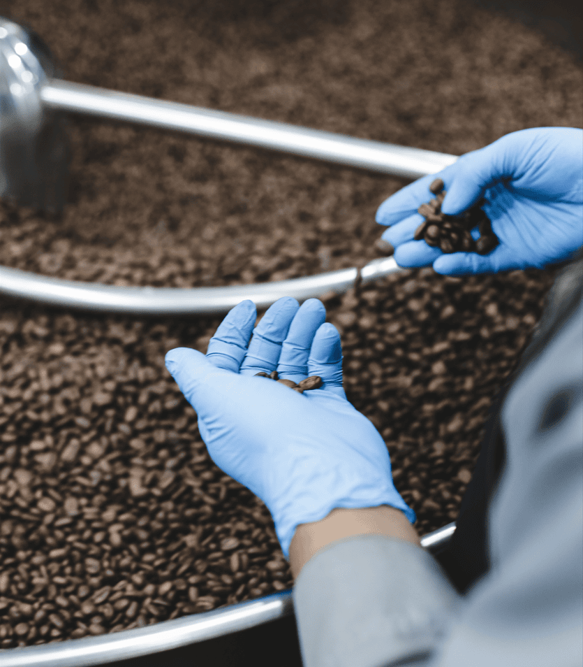 Fresh coffee beans, Jamaica Blue Mountain coffee, best coffee beans top selling coffee beans, purist coffee, coffee lovers, father day gift 2026, birthday gift trends, top quality coffee, mother day gift for mom, gift for coffee lovers, birthday gift for college, organic coffee, best gift ideas, best coffee beans, gift ideas, great birthday gift, coffee beans, best coffee gift, Christmas coffee, single estate, mother day gift 2026, coffee gift ideas, fresh coffee beans, mother day gift for mother, father da