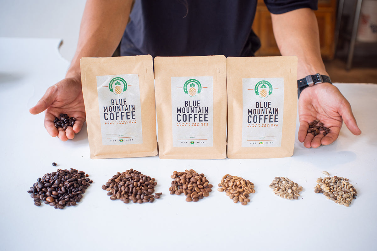 Three bags of Blue Mountain Coffee with coffee beans on a white surface. Organic coffee beans, father day gift for father, birthday gift trends, best coffee beans, best gift ideas, purist coffee, fresh coffee beans, gift for coffee lovers, best coffee beans top selling coffee beans, coffee lovers, coffee gift ideas, single estate, mother day gift 2026, birthday gift 2025, Jamaica Blue Mountain coffee, great birthday gift, best coffee gift, mother day gift for mom, top quality coffee, fresh coffee beans, gif