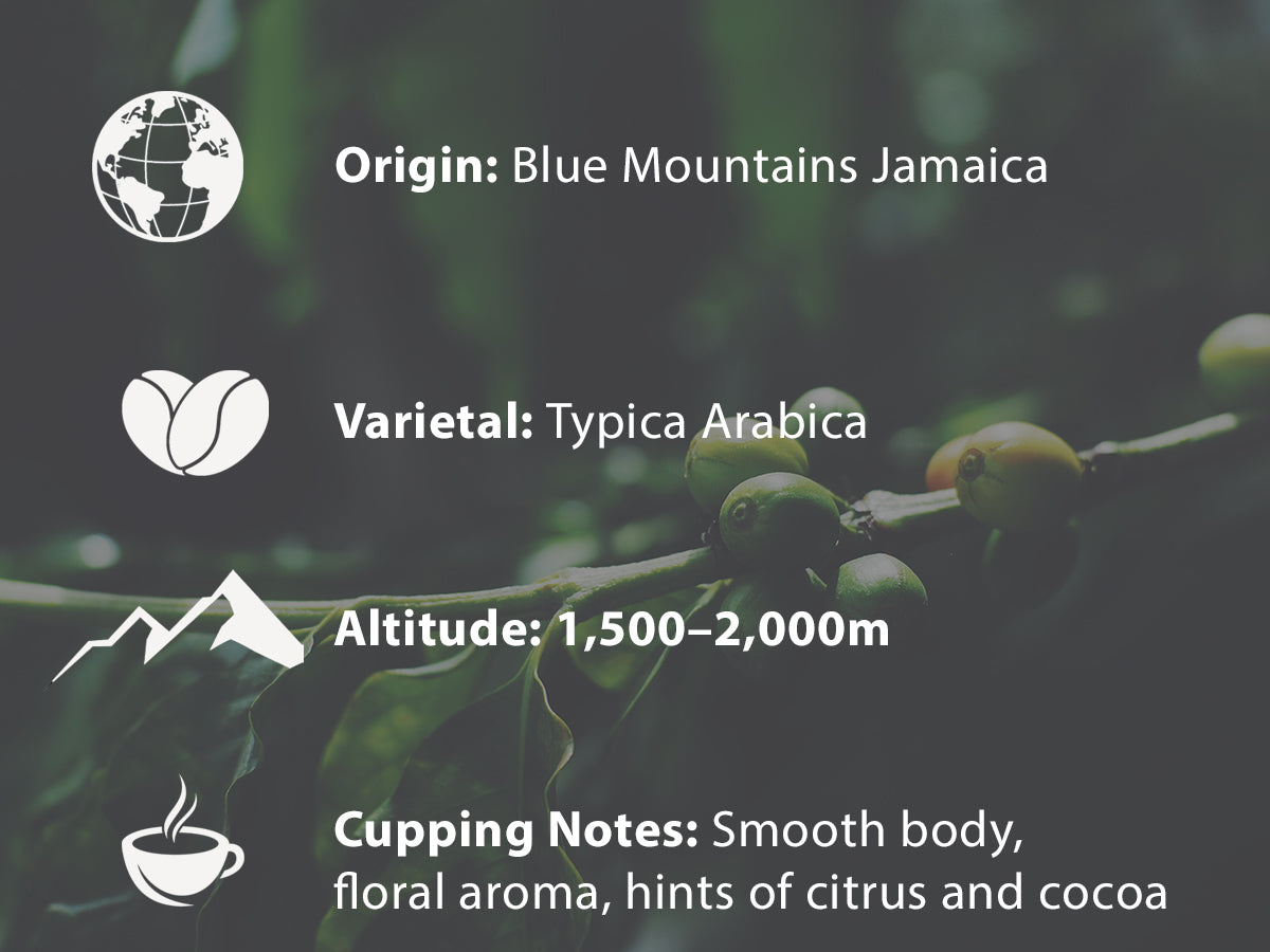 Fresh coffee beans, Jamaica Blue Mountain coffee, best coffee beans top selling coffee beans, purist coffee, coffee lovers, father day gift 2026, birthday gift trends, top quality coffee, mother day gift for mom, gift for coffee lovers, birthday gift for college, organic coffee, best gift ideas, best coffee beans, gift ideas, great birthday gift, coffee beans, best coffee gift, Christmas coffee, single estate, mother day gift 2026, coffee gift ideas, fresh coffee beans, mother day gift for mother, father da