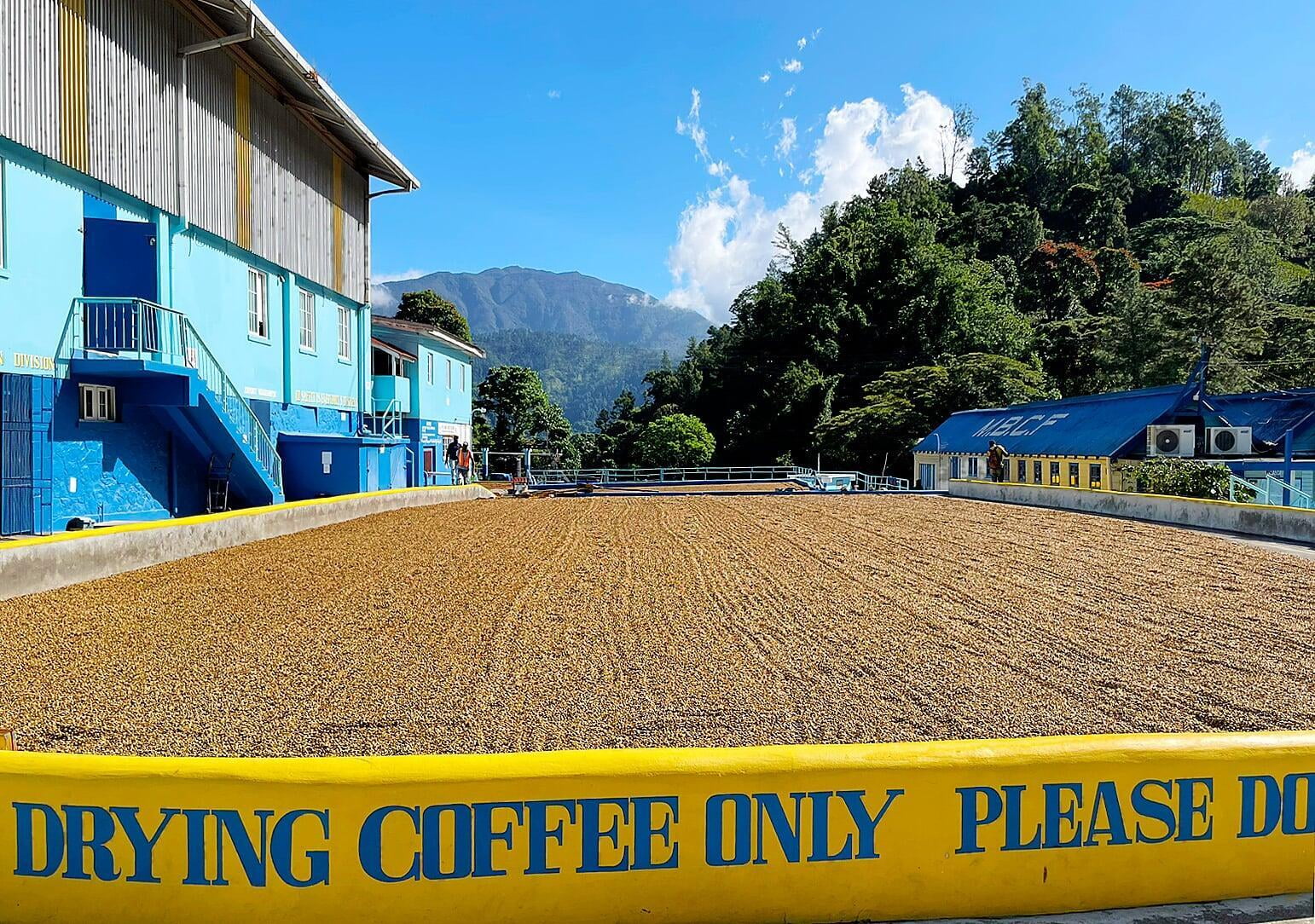 The World of Specialty Coffee: Why It's Worth Every Sip