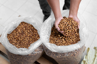 Person holding a bag of brown seeds with another bag in the background. Purist coffee
Single estate
Organic coffee beans
Fresh coffee beans
Best coffee beans
Gift for coffee lovers
best coffee beans top selling coffee beans Christmas coffee Top quality coffee, mother day gift 2026, father day gift 2026, birthday gift trends, father day gift for dad father day gift for father mother day gift for mom, mother day gift for mother birthday gift for college, great birthday gift birthday gift 2025, coffee beans, g